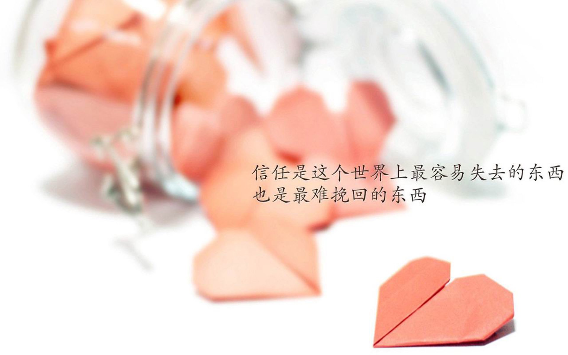 kaiyun.com-乌迪内斯主场击败维罗纳，欧战热门队登顶排名大涨，乌迪内斯 维罗纳